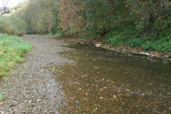 Donauversinkung bei Immendingen