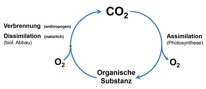 Umwandlung von CO2