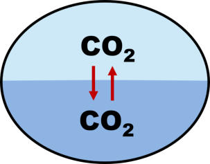 Gasaustausch von CO2  zwischen Luft und Wasser